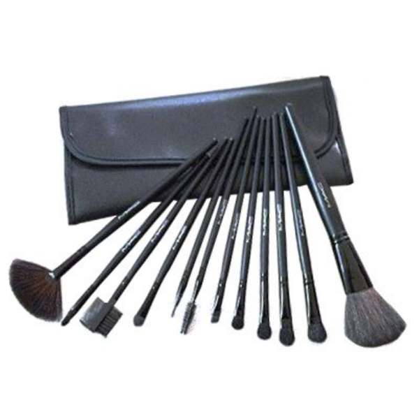 Mac12 Pieces Cosmetics Brushes price in Pakistan OPPS.PK