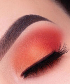 Mac 20 color Eyeshadow Palette price in Pakistan